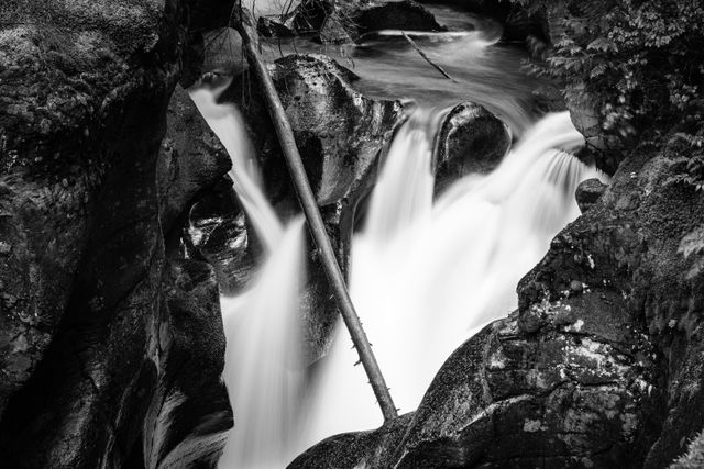 A close-up of the waters of Avalanche Creek running through Avalanche Gorge, around water-carved stones in the gorge, and a fallen log hanging across it.