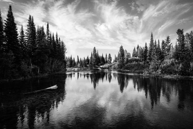 Cottonwood Creek, seen from the boat dock at Jenny Lake.