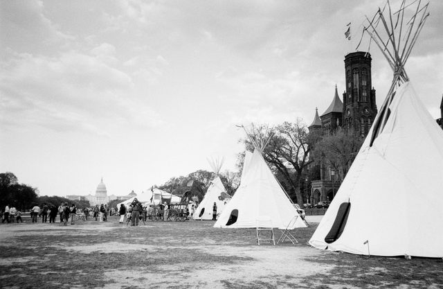 Teepees at a Keystone XL protest at the National Mall.