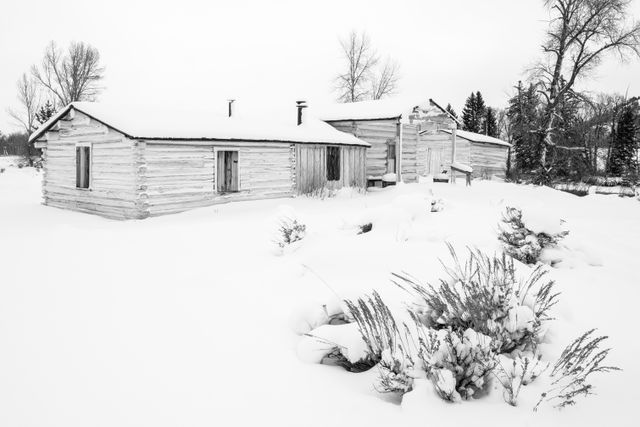 The Menors Ferry General Store, on a snowy, overcast day. The building and ground are covered in several inches of snow. In the foreground, snow-covered sagebrush.