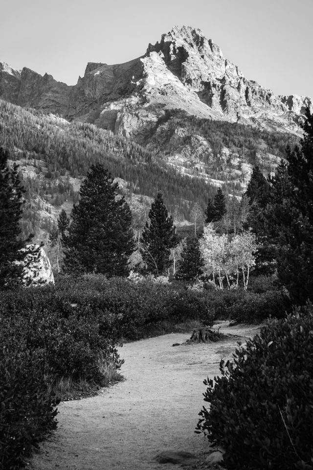 Teewinot Mountain, seen from the Taggart Lake trail.