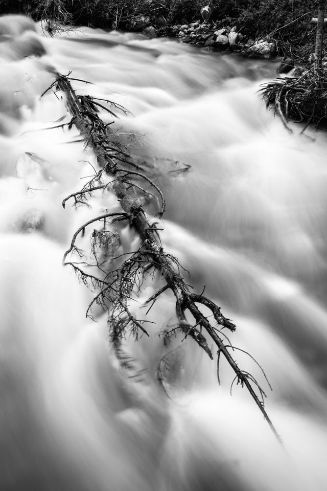 A long exposure photograph of a fallen tree on Granite Creek.