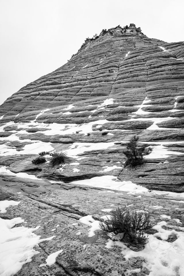 Checkerboard Mesa, with its characteristic checkerboard pattern partially covered in snow.