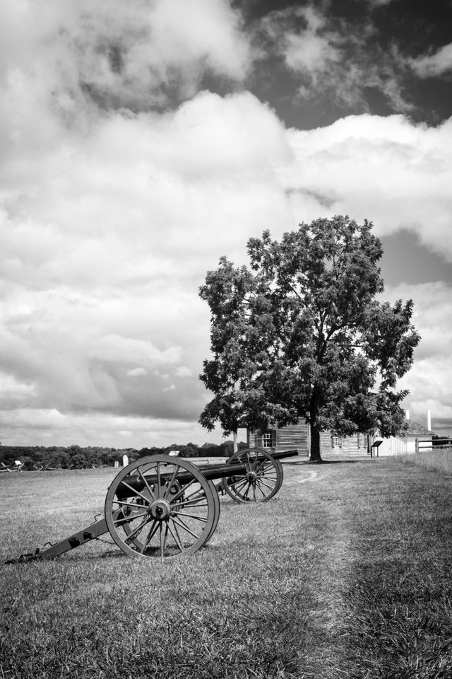 Artillery pieces lined up at Manassas National Battlefield in Virginia.