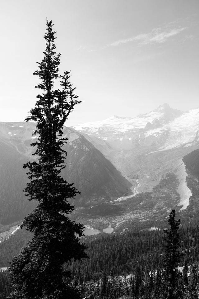 The White River, seen from the Glacier Overlook near Sunrise, in Mount Rainier National Park.