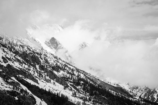 A hillside in the Tetons with Mount Moran in the background, shrouded in clouds.