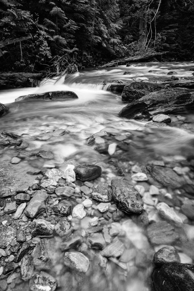 Rocks and pebbles seen in the waters of Avalanche Creek.