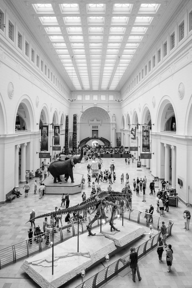 Main hall of the Field Museum in Chicago.