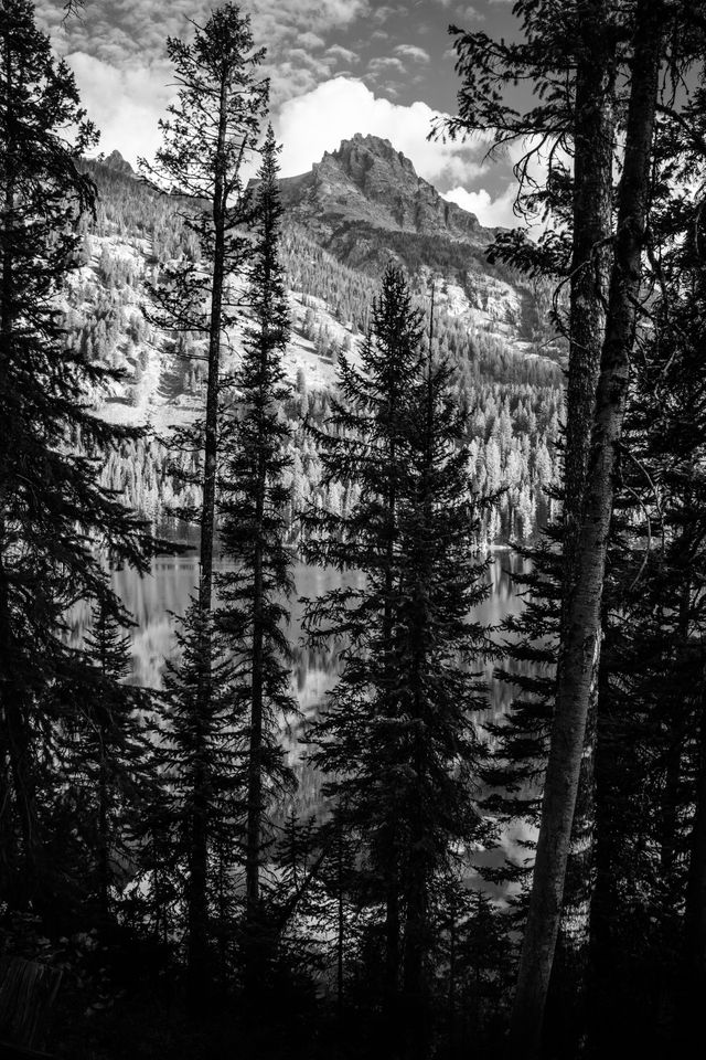 Teewinot Mountain and Bradley Lake, seen between the trees from the trail.