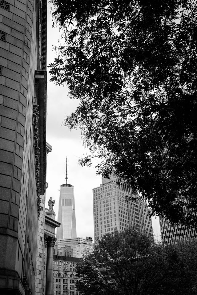 One World Trade Center, seen from downtown Manhattan.