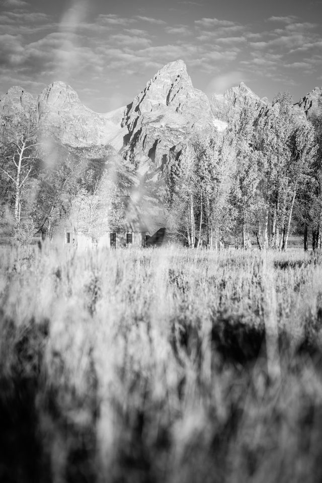 The Pink House, seen through grasses and sagebrush at Mormon Row. In the background, Middle Teton, Grand Teton, and Mount Owen.