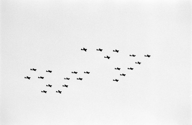 T-26 Texans over the Potomac.