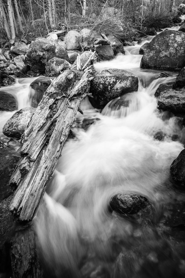 A long exposure photograph of Taggart Creek, with a fallen tree laying on some boulders.