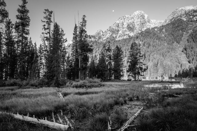 A marshy area near String Lake. In the background, Symmetry Spire, Mount Saint John, and the Moon.