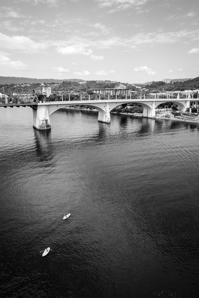 Paddle boarders on the Tennessee River, in front of the John Ross Bridge.