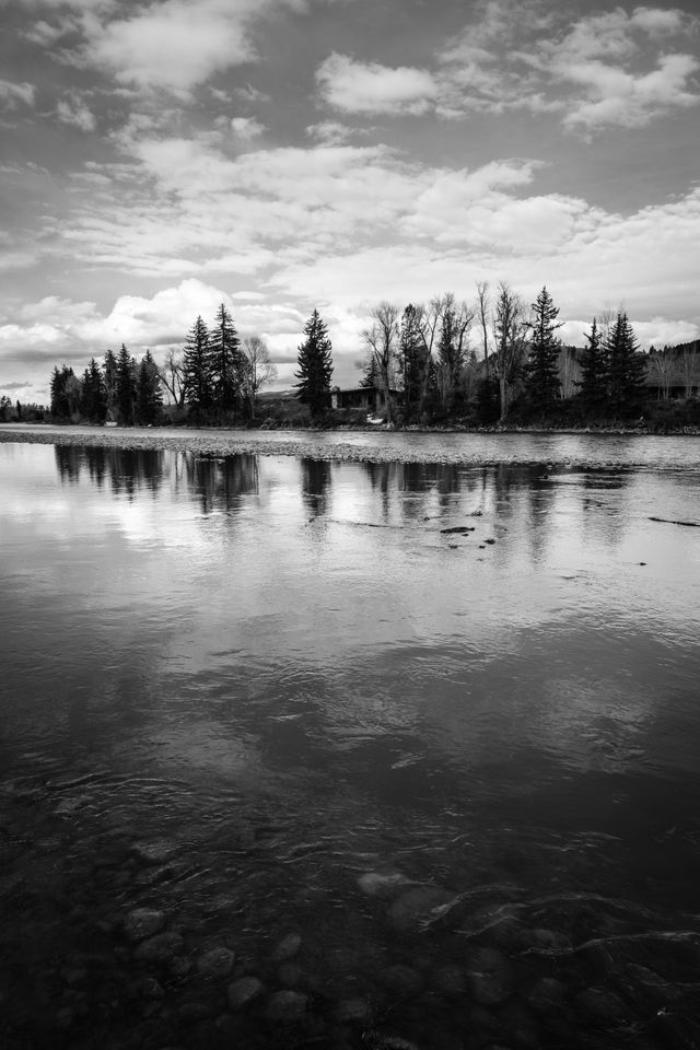 A line of trees and a cabin seen across the Snake River in Grand Teton National Park. In the foreground, pebbles under the water.