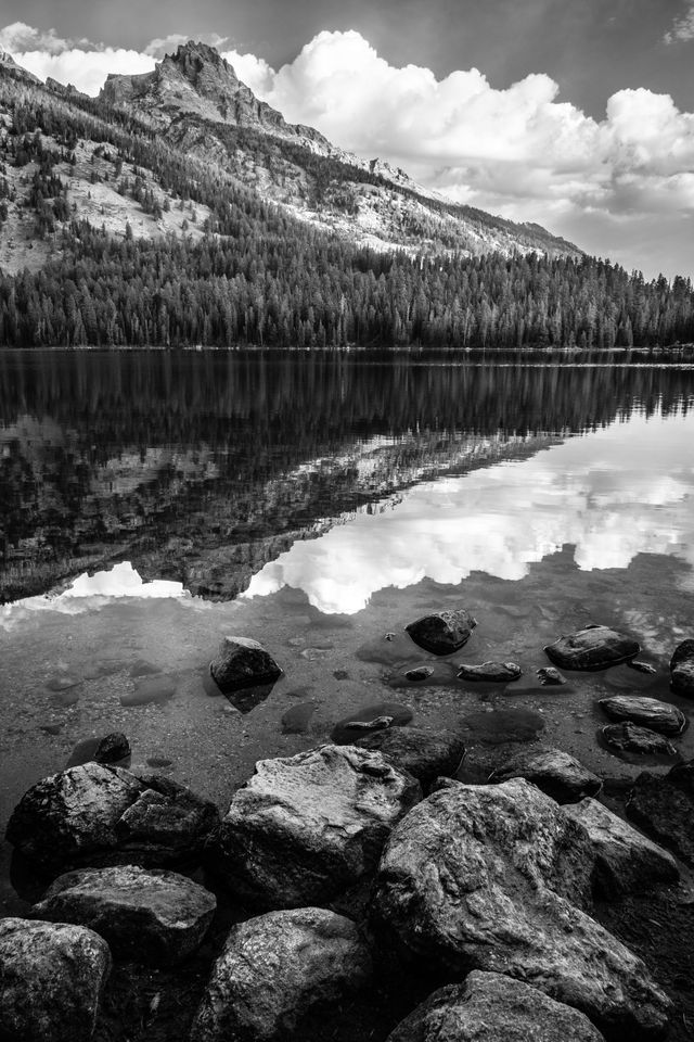 Teewinot Mountain, seen reflected on the surface of Bradley Lake. In the foreground, rocks on the shore of the lake.