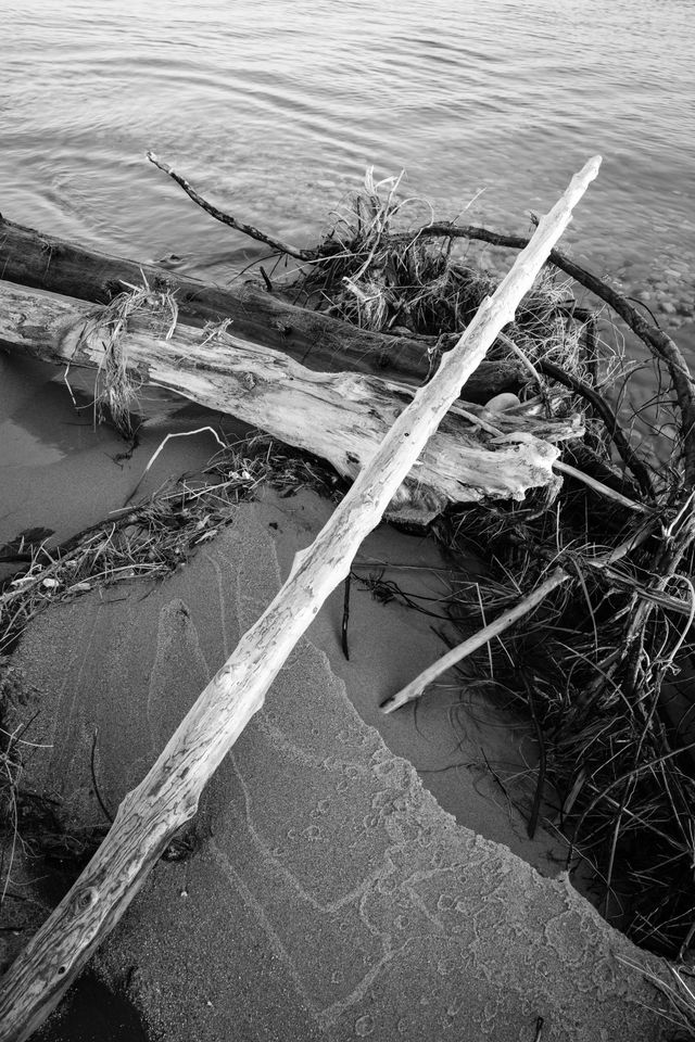 Driftwood on the beach at Sleeping Bear Point.