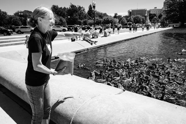 A woman feeding the ducks at the Capitol Reflecting Pool.