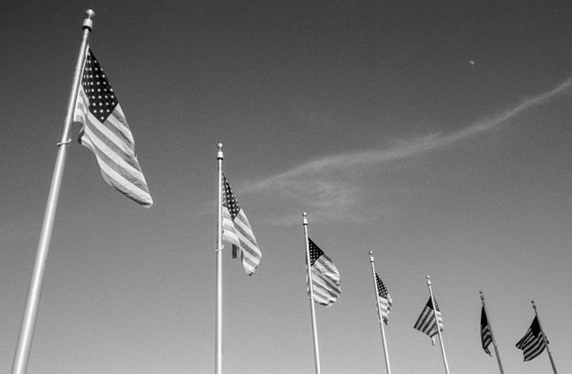 The flags surrounding the Washington Monument.