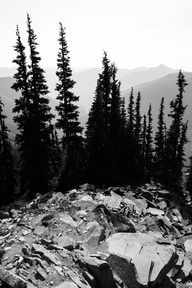 The silhouettes of trees against the haze seen from the Glacier Overlook near Sunrise, with some jagged rocks in the foreground.