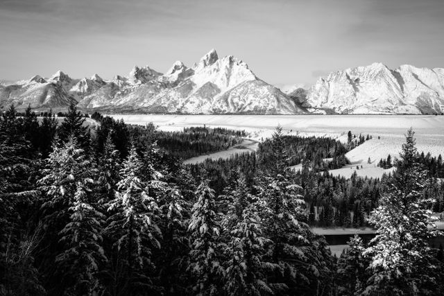 The Teton Range, seen in winter from the Snake River Overlook. In the foreground, snow-covered pine trees.