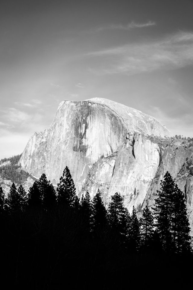 Half Dome, seen behind a line of pine trees, under lightly cloudy skies.