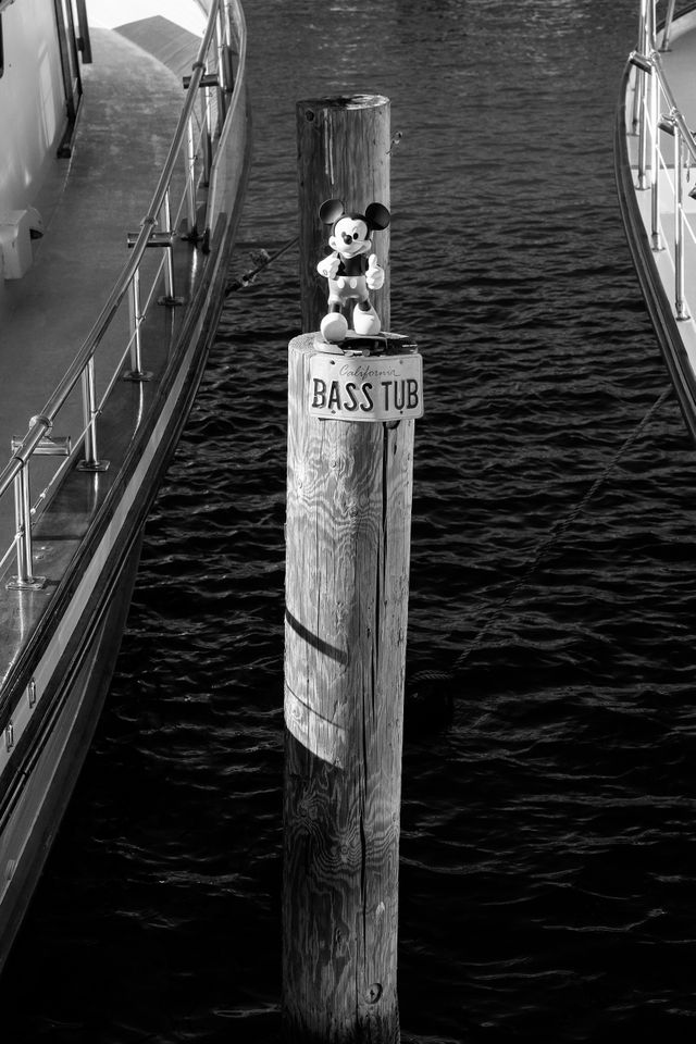 A Mickey Mouse doll on a wooden pole with a "Bass Tub" license plate at Fisherman's Wharf, San Francisco.