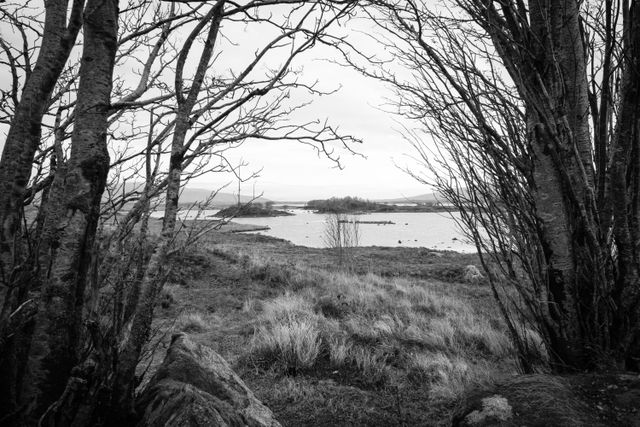 Loch Bà, seen through trees, on Rannoch Moor.