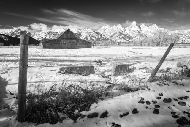 The T.A. Moulton Barn behind a wire fence at Mormon Row.