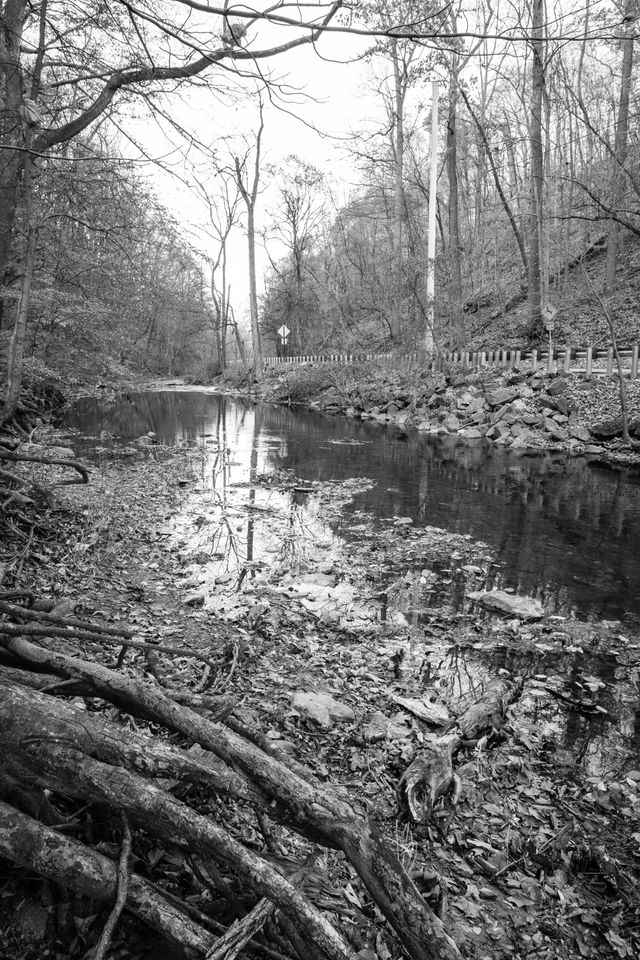 Valley Creek, at Valley Forge National Historical Park.