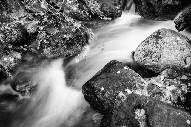 Taggart Creek flowing over some rocks.