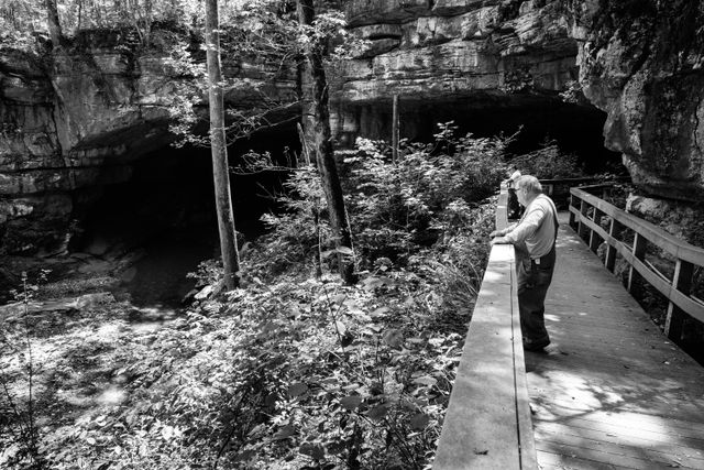 A man looking at the Russell Cave in Alabama.