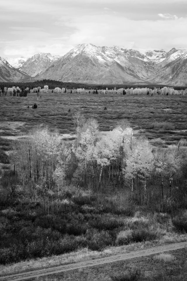 Willow Flats, seen from Lunch Tree Hill at Grand Teton National Park.