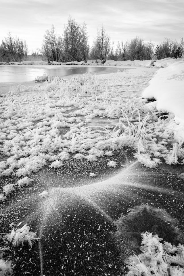 The frozen surface of a pond, covered in snow & ice crystals.