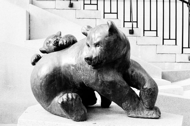 Bear statues at downtown Burlington, Vermont.