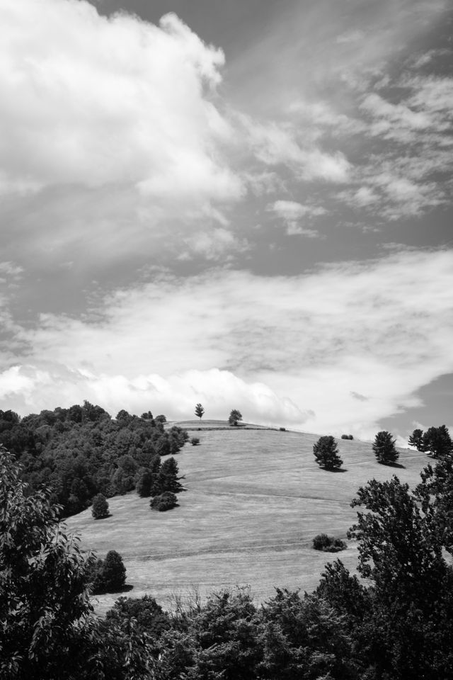 A hill in Charlottesville, Virginia.