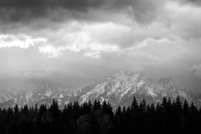 The Teton Range behind a line of trees and storm clouds.