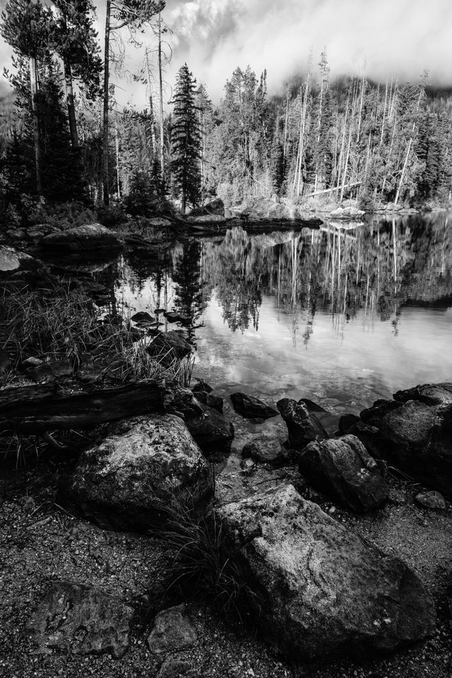 Rocks and grasses on the shore of Taggart Lake.