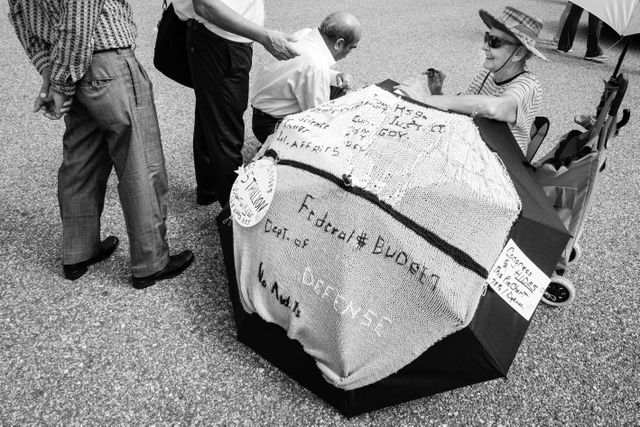 A lady protesting in front of the White House, with signs about the defense budget.