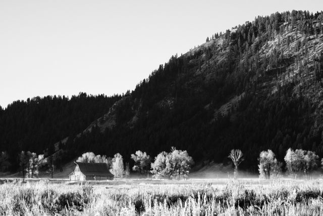 The T.A. Moulton barn at sunrise, next to Blacktail Butte, in Grand Teton National Park.