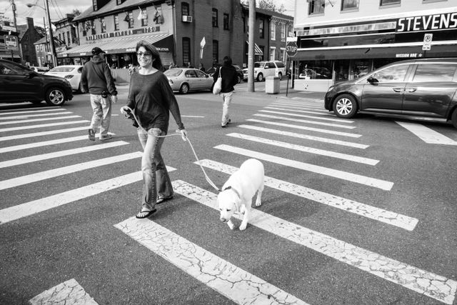 A woman walking her dog through a crosswalk in Annapolis, Maryland.