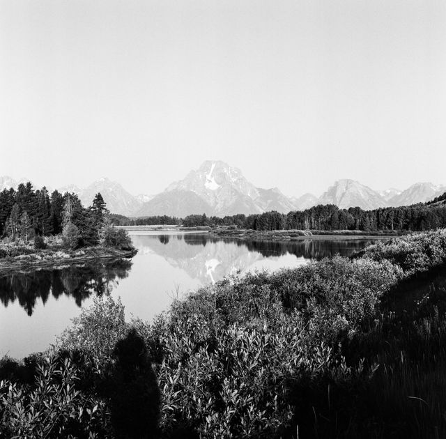 Mount Moran, seen from Oxbow Bend in the summer.