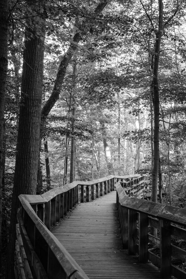 The trail boardwalk near Brandywine Falls at Cuyahoga Valley National Park in Ohio.