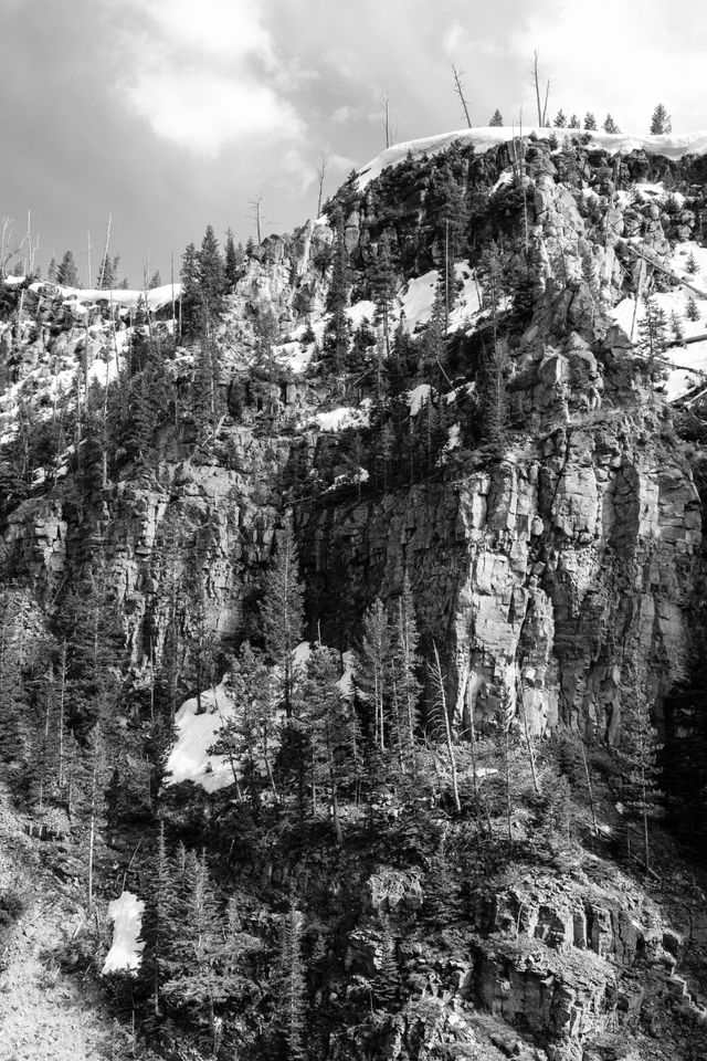 A rocky cliff face covered in snow and trees at Yellowstone National Park.