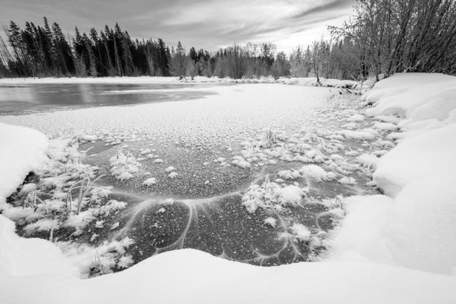 The frozen surface of a pond, covered in snow & ice crystals.