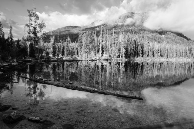 The shores of Taggart Lake.