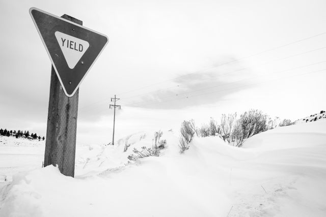 A yield sign in the snow, at the National Elk Refuge.