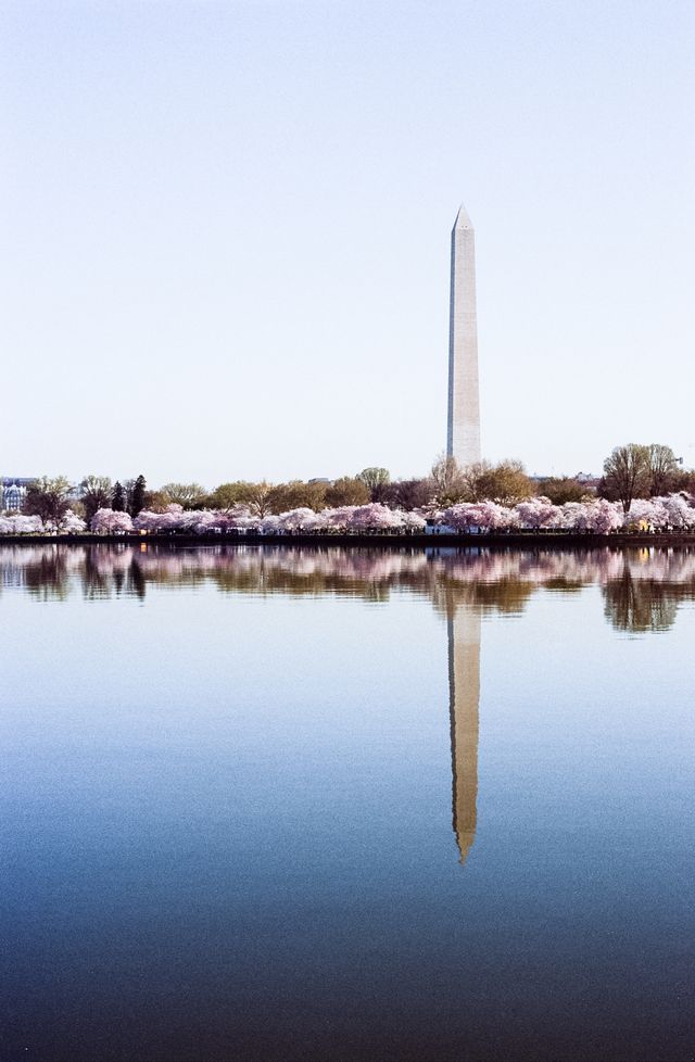 The Washington Monument and the Tidal Basin during the Cherry Blossom Festival.