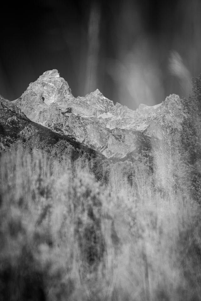 The Teton Range, specifically Grand Teton, Mount Owen, and Teewinot Mountain, seen through out-of-focus grasses and sagebrush in the foreground.